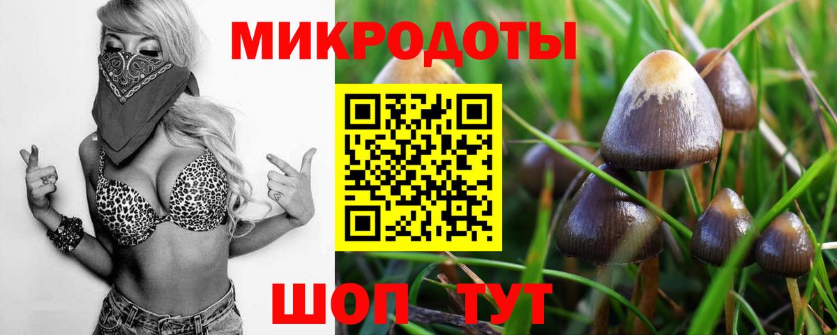 Галлюциногенные грибы MAGIC MUSHROOMS  Галлюциногенные грибы Cubensis  Новоалександровск  Вход с VPN 